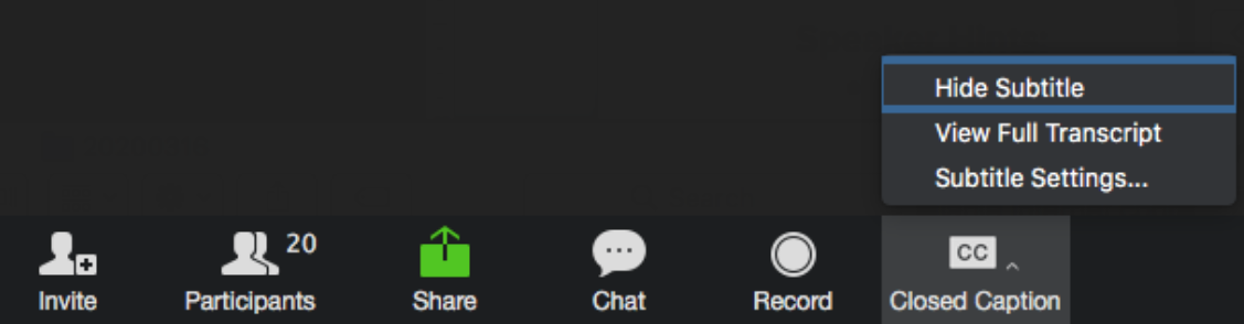Screenshot of Zoom Interface Showing Caption Options