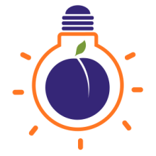 Bright Plum logo purple plum fruit inside of an orange colored light bulb